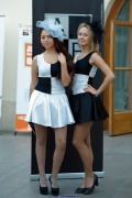 Hostesses in pantyhose